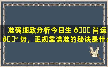 准确细致分析今日生 💐 肖运 💮 势，正规靠谱准的秘诀是什么